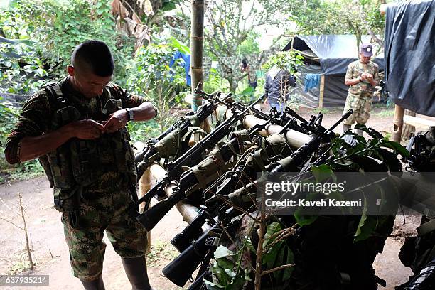 Male member of FARC's Sixth Front puts his weapon on a rack in a demobilization camp in the final days before they are handed back to the government...