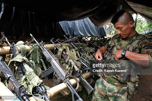 Male member of FARC's Sixth Front puts his weapon on a rack in a demobilization camp in the final days before they are handed back to the government...