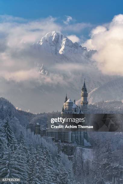 neuschwanstein castle, bavaria, germany, europe - neuschwanstein winter stock pictures, royalty-free photos & images