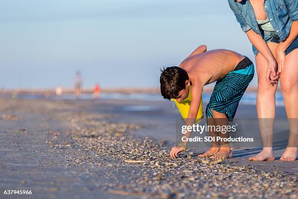 mom helps son pick up seashells during beach vacation - family gathering seashells on beach stock pictures, royalty-free photos & images