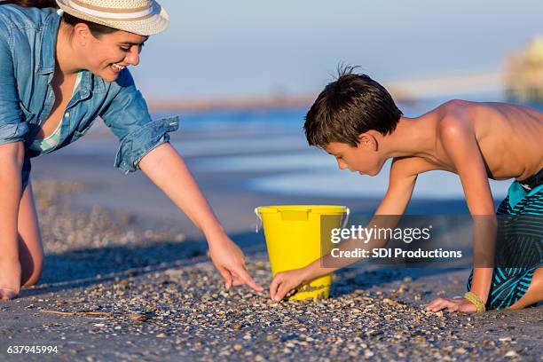 elementary age boy and his adult sister hunt for seashells - family gathering seashells on beach stock pictures, royalty-free photos & images