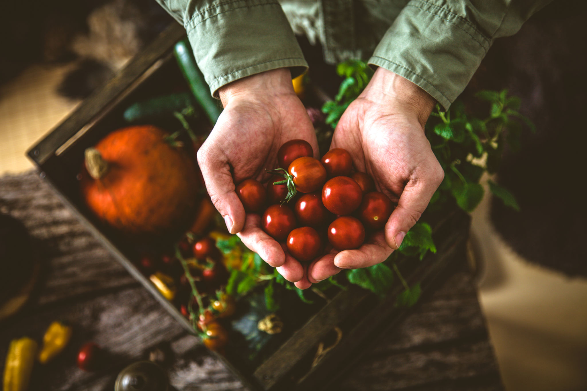 farm-to-table ingredients