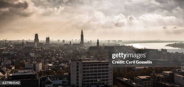 over the roofs of antwerp - antwerp city belgium fotografías e imágenes de stock