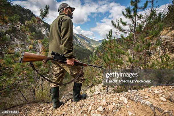 caçador com rifle - espingarda imagens e fotografias de stock