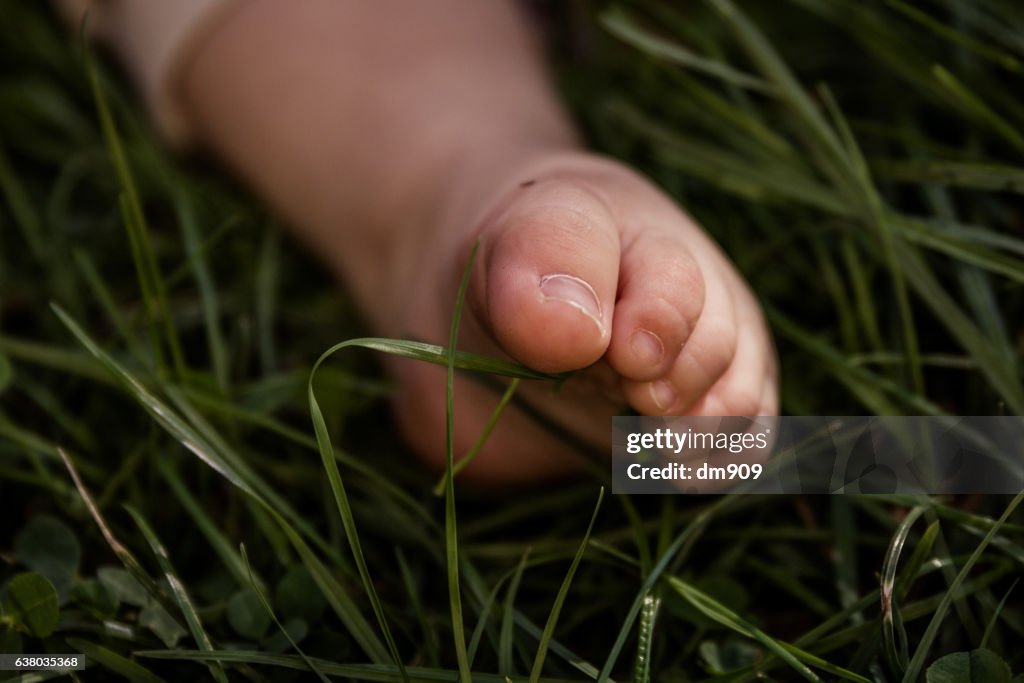 Baby foot in the grass