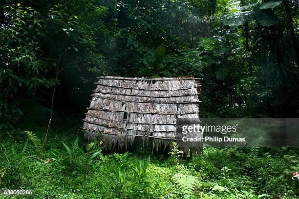 carib "kalinago" indian dwelling - dominica stock pictures, royalty-free photos & images