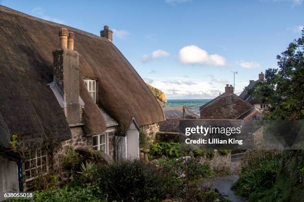 cadgwith fishing village in cornwall - thatched roof stock pictures, royalty-free photos & images