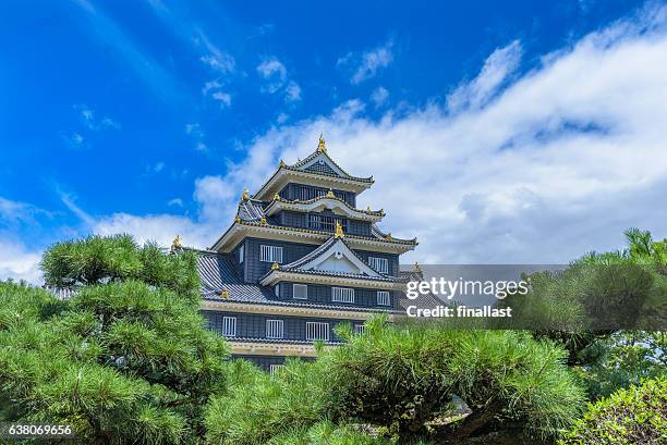 okayama castle oder crow castle - präfektur okayama stock-fotos und bilder