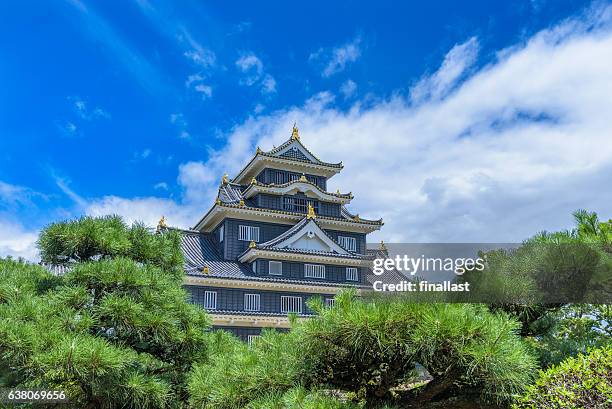 okayama castle or crow castle - okayama stockfoto's en -beelden