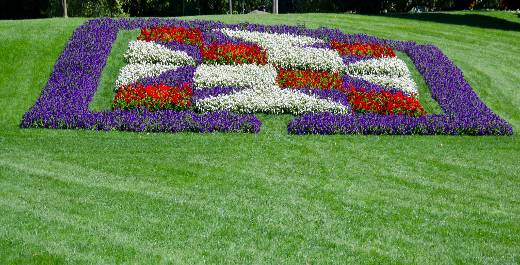 amish garden