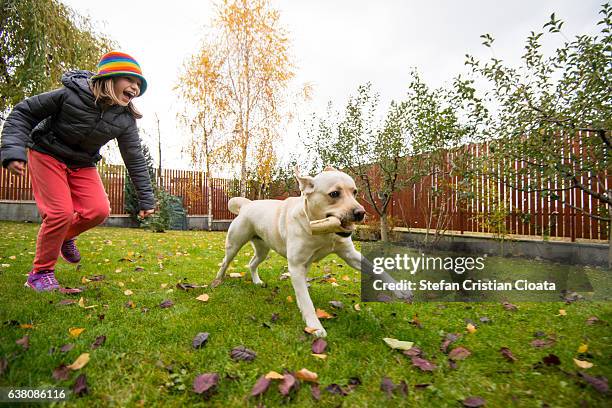girl chasing a labrador retriever - yellow labrador retriever stock pictures, royalty-free photos & images