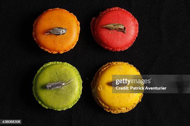 Production of insects is seen at Micronutris company, the leader in Europe in the human diet based on insects on January 9, 2017.The term entomophagy...