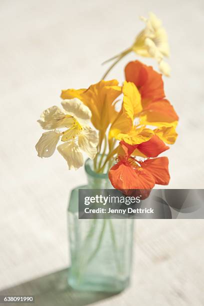 nasturtiums in vase - nasturtium fotografías e imágenes de stock