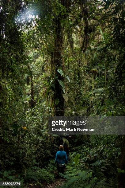 cloud forest scenic - ecuador people stock pictures, royalty-free photos & images