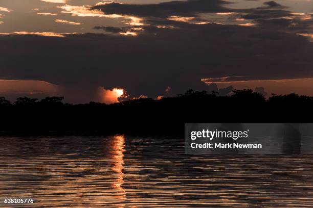 Amazon Sun Set 1,211 Amazon Rainforest Sunset Stock Photos, High-Res Pictures, and ...