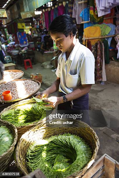 tobacco bazaar - cheroot making stock pictures, royalty-free photos & images