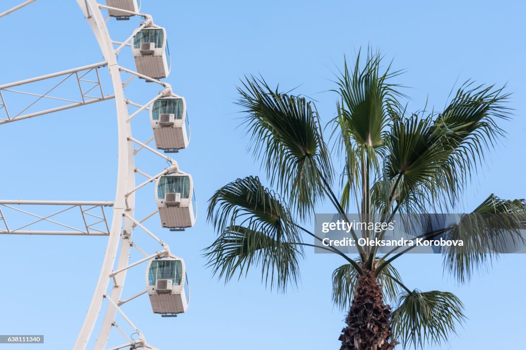 Large ferris wheel in Malaga, Spain. Observation weel with a panorama of the tropical city and palm trees