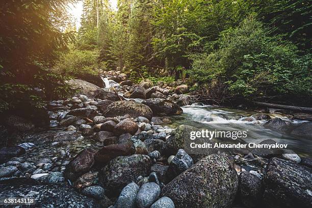 wunderschöne stream in bergen - bach stock-fotos und bilder