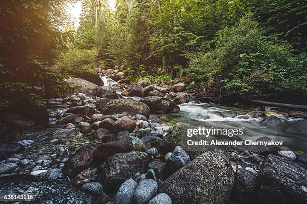 beautiful stream in mountains - creek stock pictures, royalty-free photos & images