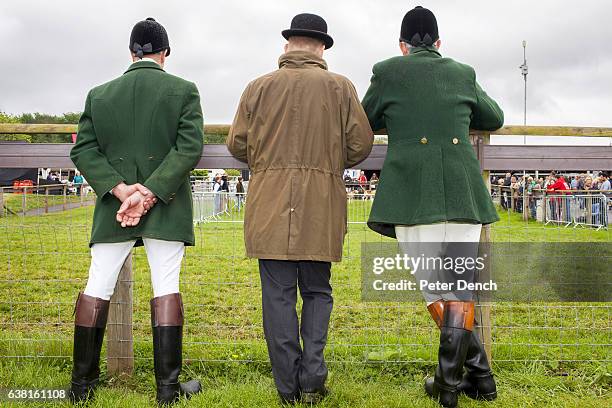 Display in progress with hunting hounds at the Devon County show. The annual three-day event highlights the best of the West Country, from farming to...