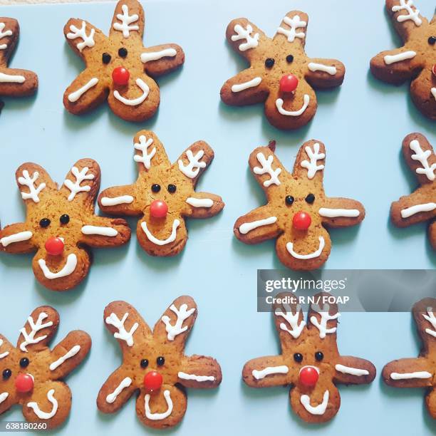 High angle view of reindeer gingerbread cookie