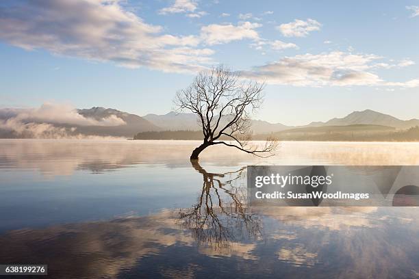 névoa da manhã sobre o lago - reflexo imagens e fotografias de stock