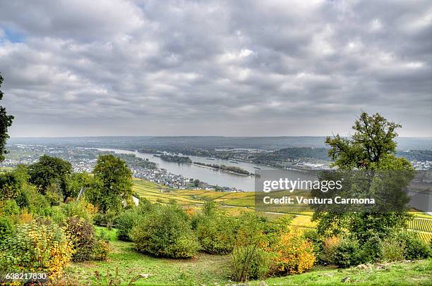 rüdesheim am rhein - germany - rudesheim stock pictures, royalty-free photos & images