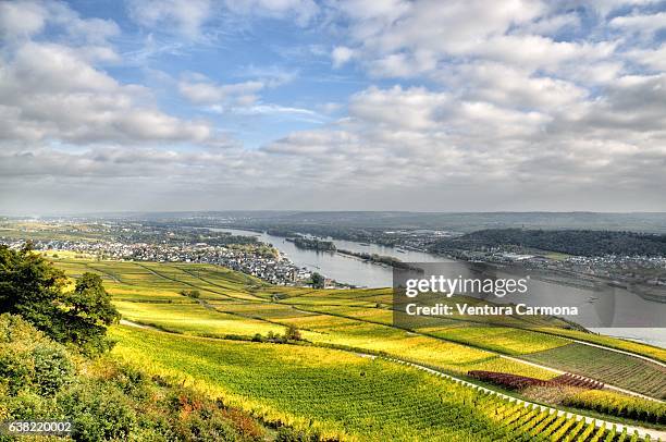 rüdesheim am rhein - germany. - rheingau stockfoto's en -beelden