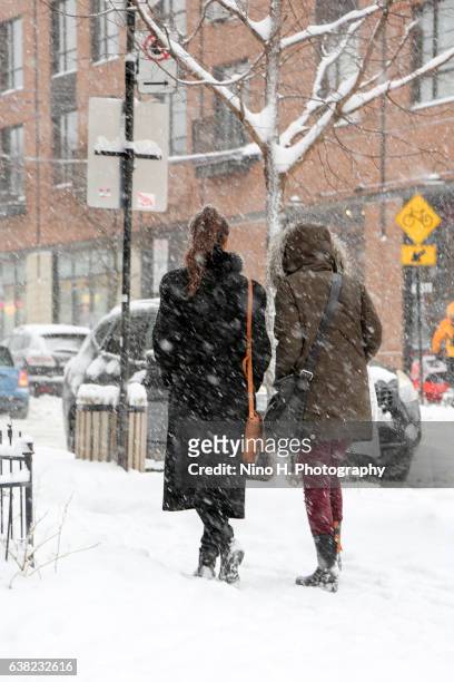 snow storm in montreal - montreal street stock pictures, royalty-free photos & images