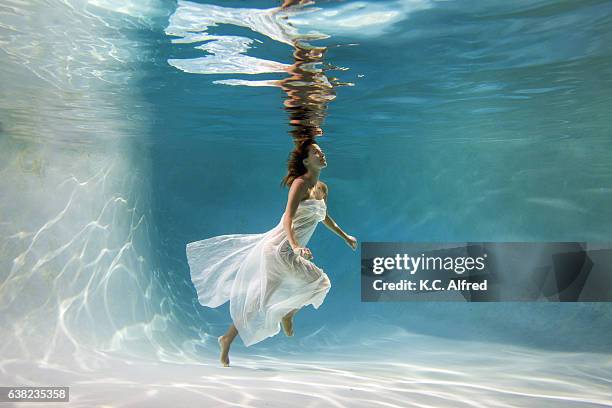 portrait of a female model underwater in a swimming pool with a in san diego, california. - kids swimsuit models 個照片及圖片檔