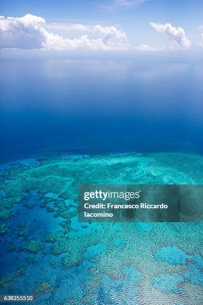 great barrier reef, queensland, australia - hardy reef stockfoto's en -beelden