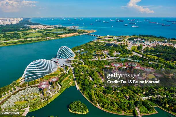 singapore, garden by the bay, supertree grove - bahía de marina fotografías e imágenes de stock