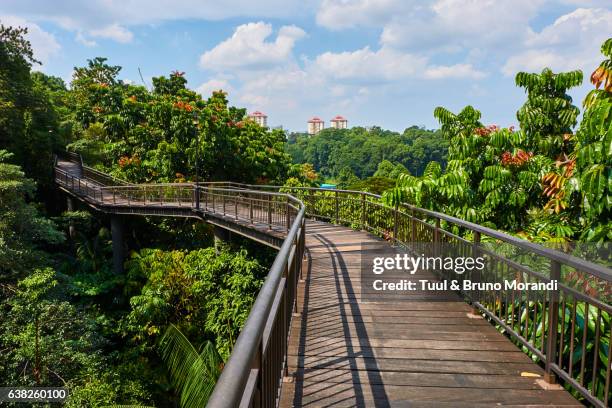 Singapore Southern Ridges Photos and Premium High Res Pictures - Getty ...
