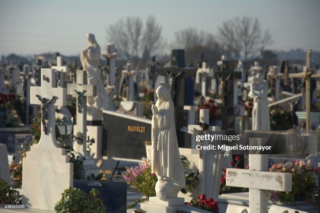 Cemetery near the church of Valega