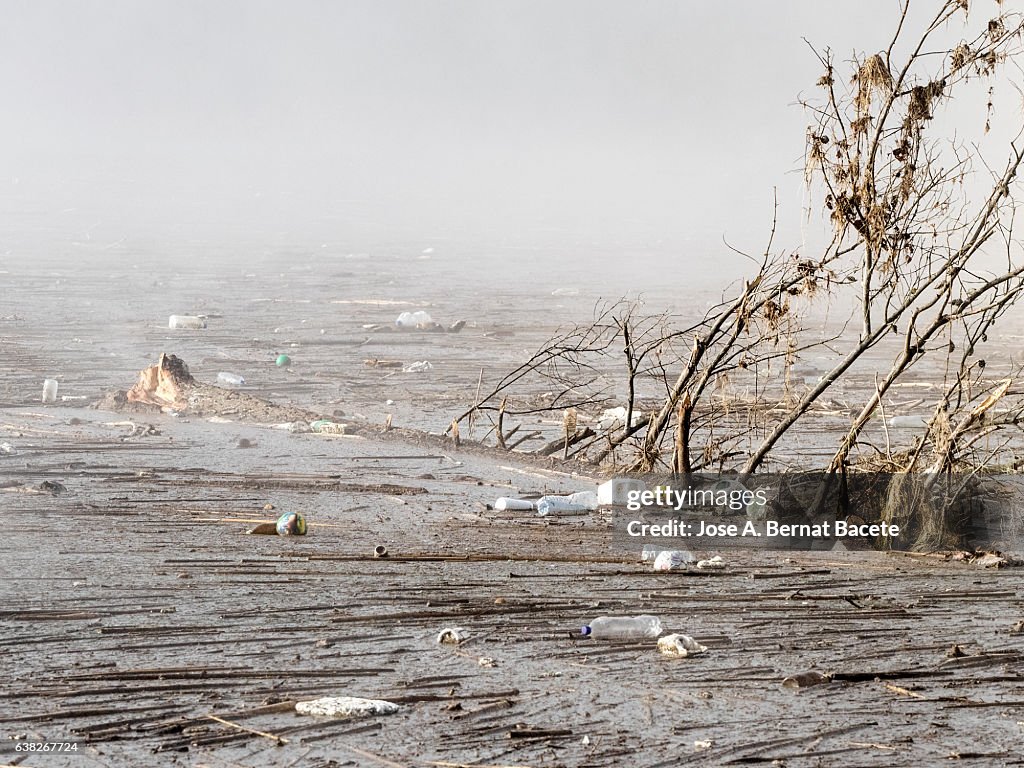 Overflow Zone Zone Flooded By The Overflow Of A River With Branches And Garbage ...