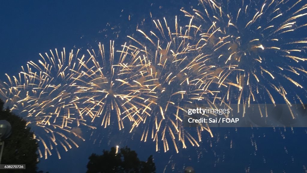 New year firework display