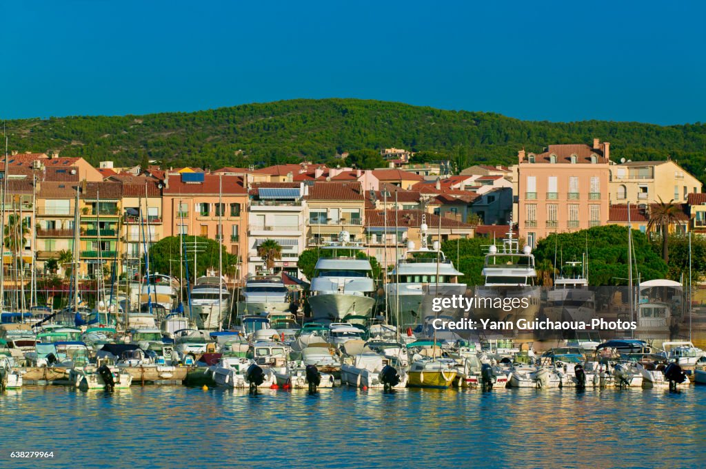 Bandol, Var, Provence, France