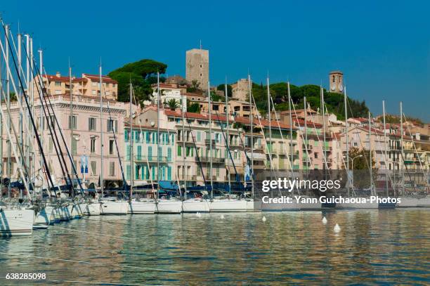 cannes, french riviera, france - cannes harbour stock pictures, royalty-free photos & images