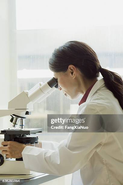 scientist looking through microscope in laboratory - compound microscope stock pictures, royalty-free photos & images