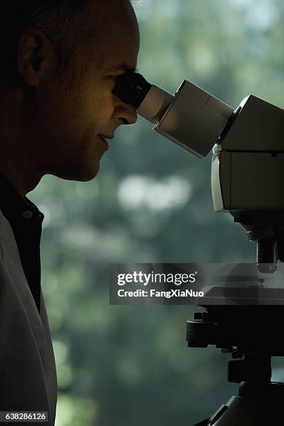 scientist looking through microscope in laboratory - man microscope stock pictures, royalty-free photos & images