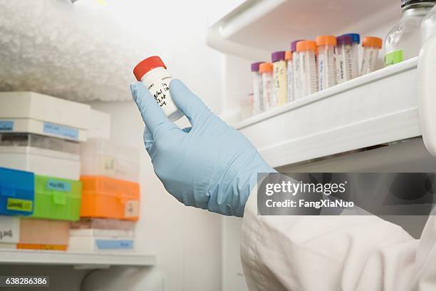 scientist holding experiment sample in laboratory medical freezer - healthcare complexity stock pictures, royalty-free photos & images