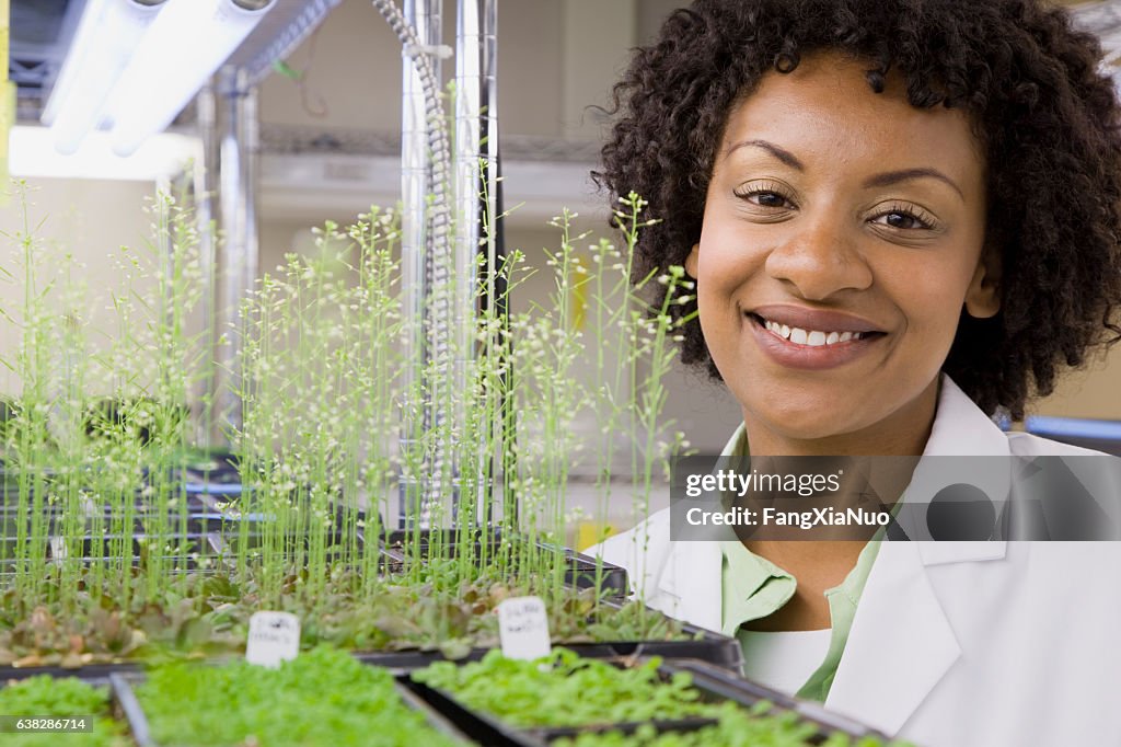 Scientist Checking Plant Seedling Growth In Laboratory High-Res Stock ...