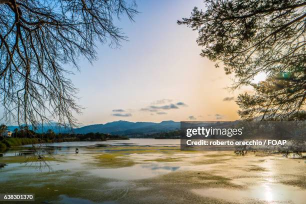 ganzirri lake in messina - orecchio stock pictures, royalty-free photos & images