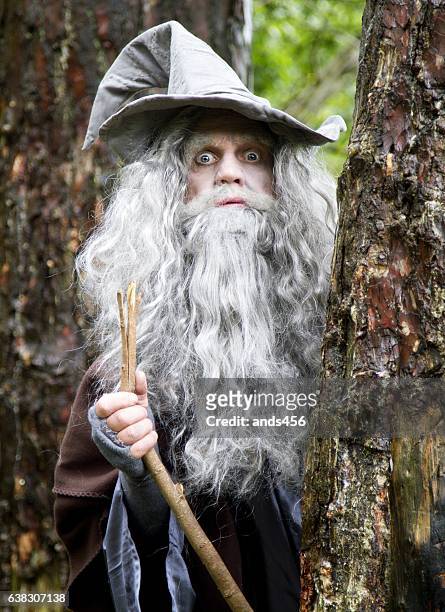 mature man in wizard costume surrounded by woodland - tovenaar stockfoto's en -beelden