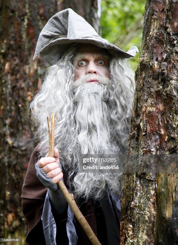 Mature man in wizard costume surrounded by woodland