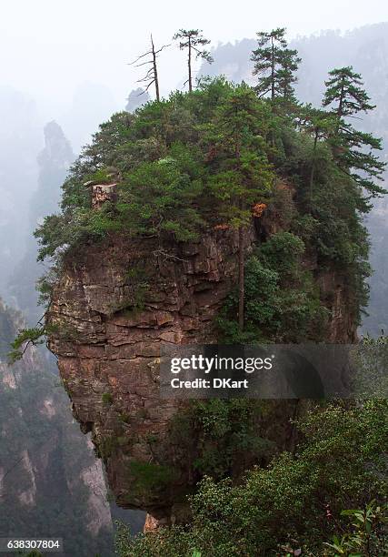 zhangjiajie national park - zhangjiajie national forest park stock pictures, royalty-free photos & images