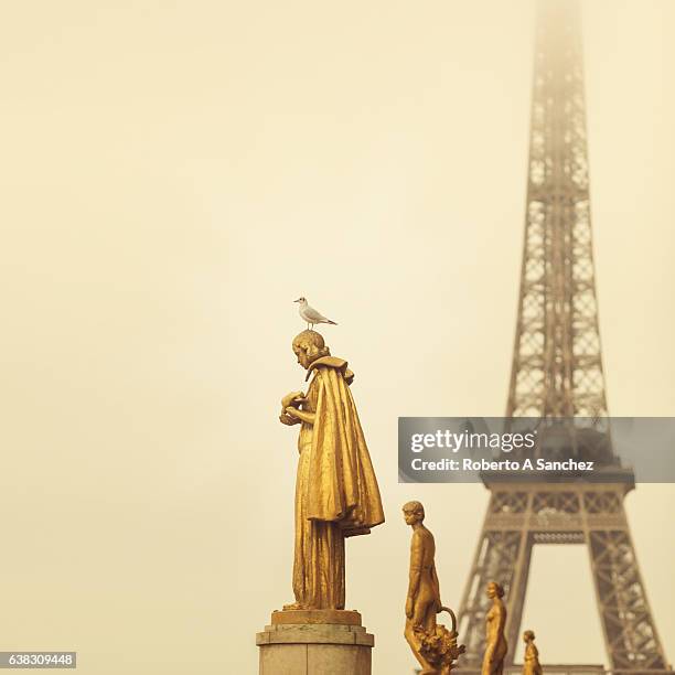 eiffel tower paris from trocadero - quartier du trocadero stock pictures, royalty-free photos & images