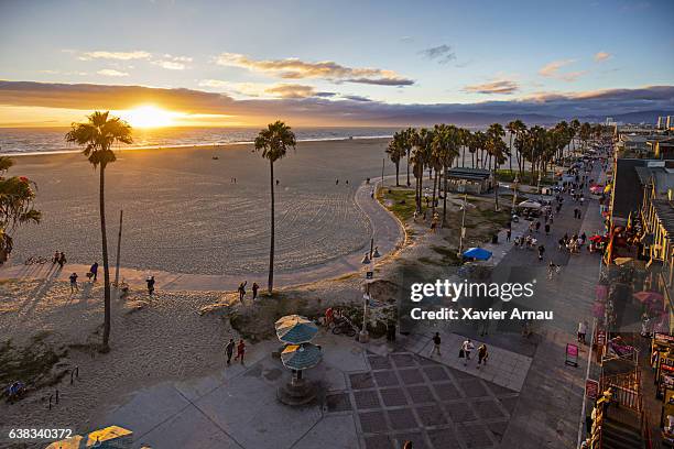 touristen, die bei sonnenuntergang auf einem fußweg am strand spazieren gehen - venice stock-fotos und bilder