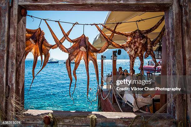 octopus hanging at ammoudi bay - greek food stock-fotos und bilder