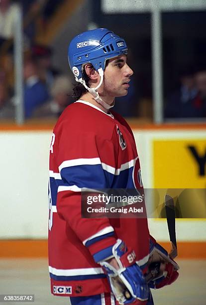 Toronto Maple Mathiue Montreal Canadiens Mathieu Schneider Photos and Premium High Res ...